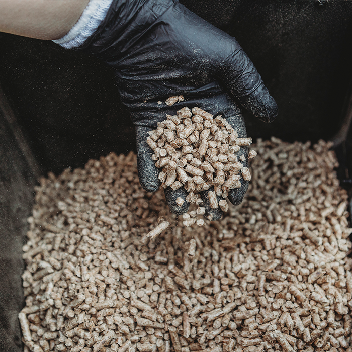 Competition Blend Pellets - Lumberjack