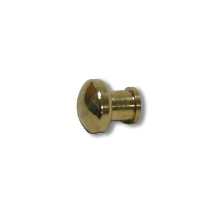 Gold Control Knob for Mazona Warwick