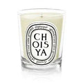Diptyque Choisya Candela 190 gr Alla Violetta Boutique