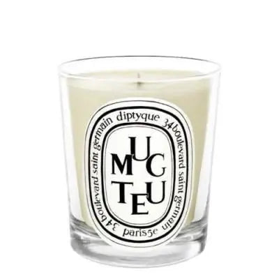 Diptyque Muguet Candela 190 gr Alla Violetta Boutique