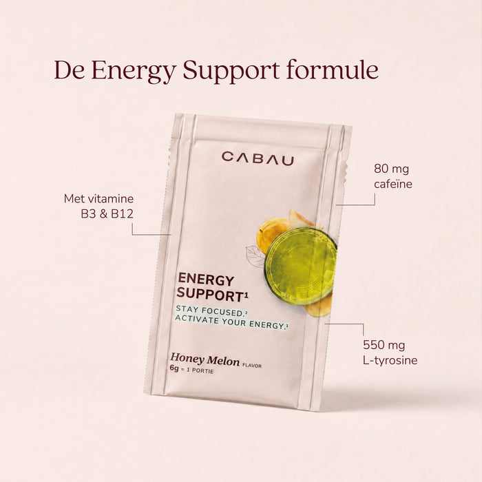Energy Support