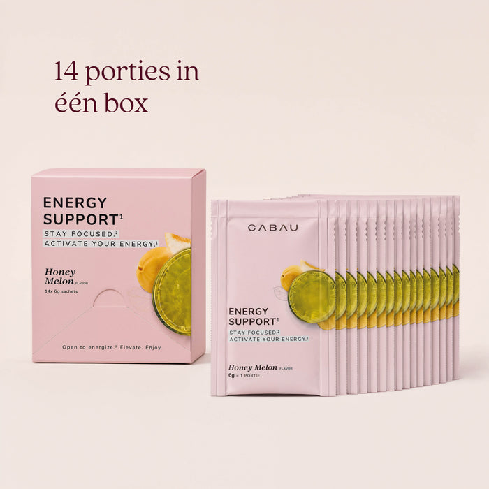 Energy Support