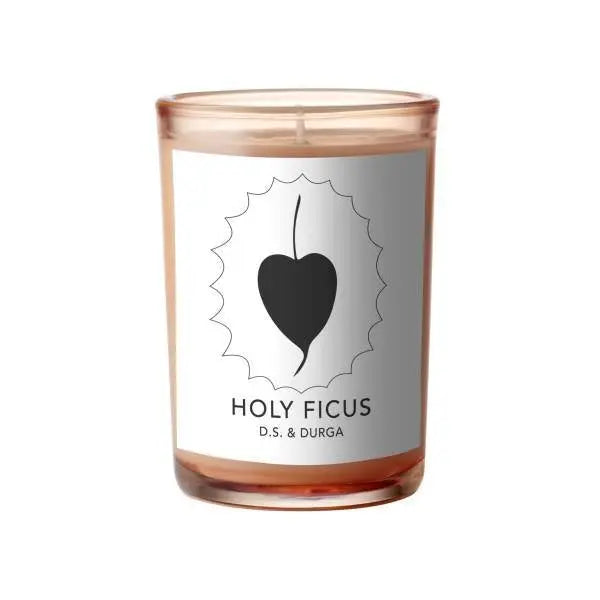 Holy Ficus 200 gr - Candela - D.S. & DURGA - Alla Violetta Boutique