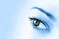 Miriam Bay Eye mask 30 ml Alla Violetta Boutique