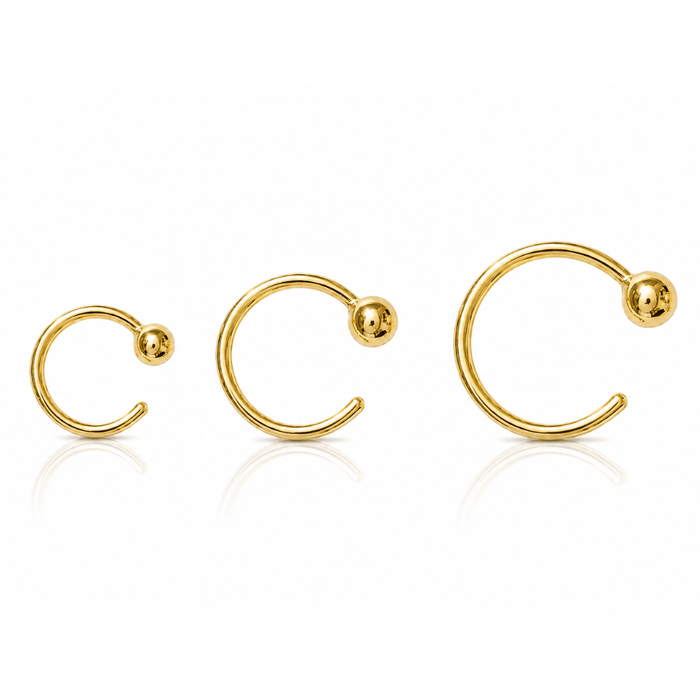 Gold Open Hoop Earrings