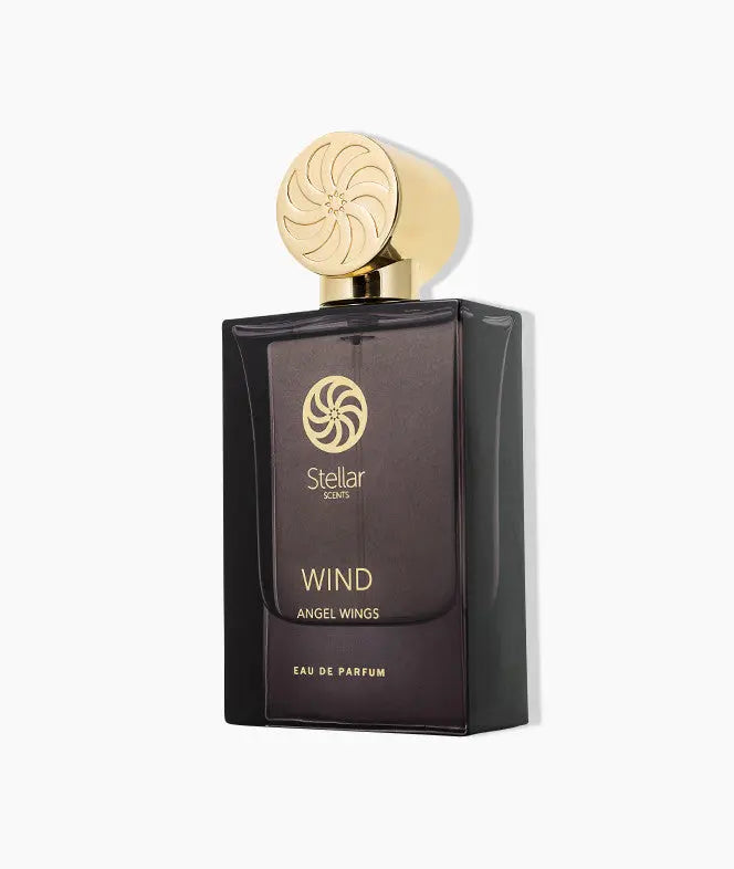Wind Angel Wings Stellar - Profumo - STELLAR - Alla Violetta Boutique